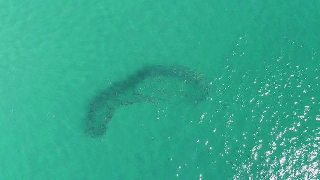 BUZZARDS BEACH EAST CAPE BCS-2023: Curved Underwater Sandbar in Clear Turquoise Water