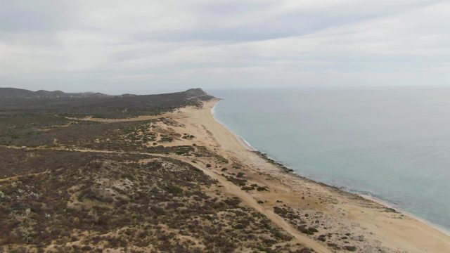 PUNTA GORDA BEACH BCS-2023: Sandy Beach and Calm Ocean with Coastal Vegetation