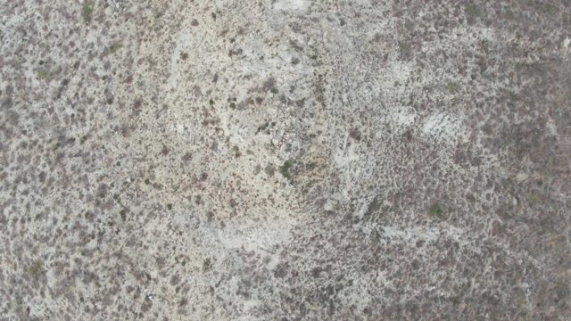 PUNTA GORDA BEACH BCS-2023: Textured Concrete Surface with Subtle White Patches Changing