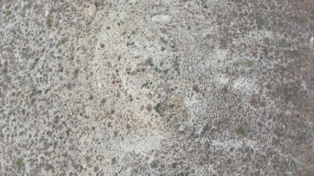 PUNTA GORDA BEACH BCS-2023: White Foam Shifting on Textured Stone Surface
