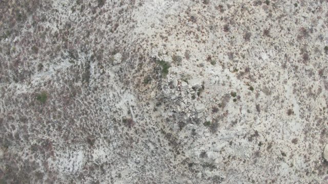 PUNTA GORDA BEACH BCS-2023: Arid Desert Terrain with Sparse Vegetation and Subtle Motion