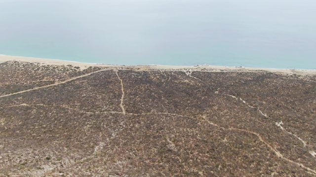 PUNTA GORDA BEACH BCS-2023: Car Driving Along Sandy Beach near Coastal Dunes