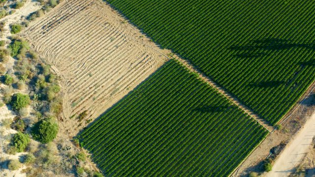 TODOS SANTOS BCS MEXICO-2021: Agricultural Fields with Moving Vehicle Shadow