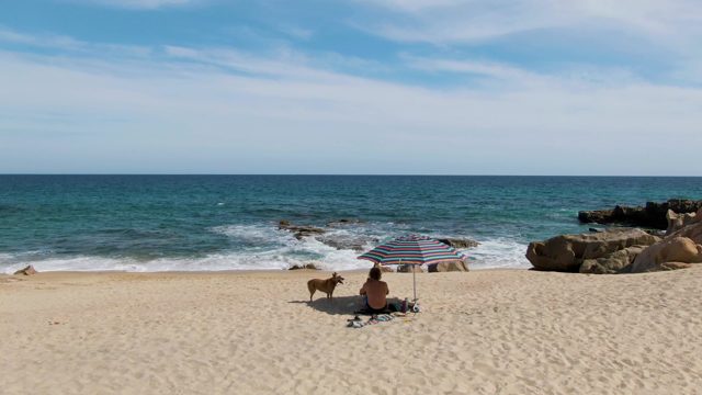PUNTA GORDA BEACH BCS-2023: Person and Dog Relaxing on Sandy Beach by Ocean