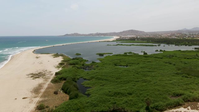 PUERTO LOS CABOS BEACH BCS-2023: Sandy Shore and Lagoon with Mangrove Wetland