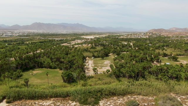 PUERTO LOS CABOS BEACH BCS-2023: Aerial Pan of Tree-Dotted Valley and Distant Mountains