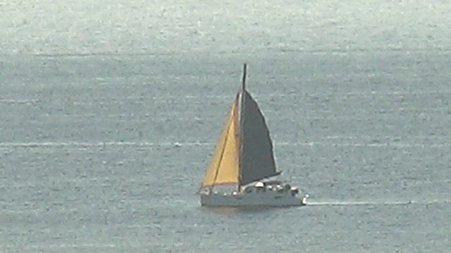 Sailboat with Yellow and Dark Sails Moving on Calm Ocean