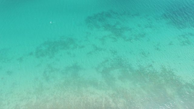 Clear Ocean Water with Visible Seabed and Coral