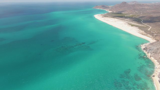 Gentle Waves Along Turquoise Coastal Shore