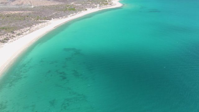 Clear Turquoise Ocean Water Meets Sandy Shore