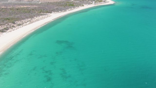 Sandy Beach with Increasing Visitors over Time