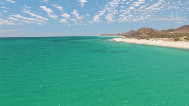 Gentle Ocean Waves on a Sandy Shore