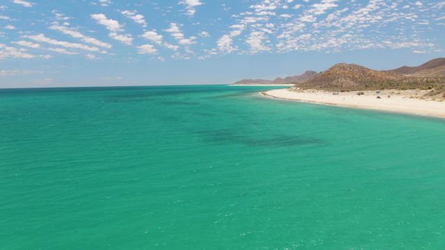 Gentle Ocean Ripples Along Sandy Coastline