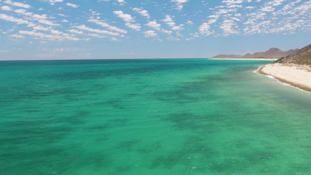 Clear Turquoise Waters Along White Sandy Beach