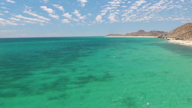 Gentle Waves on a Turquoise Ocean Shore