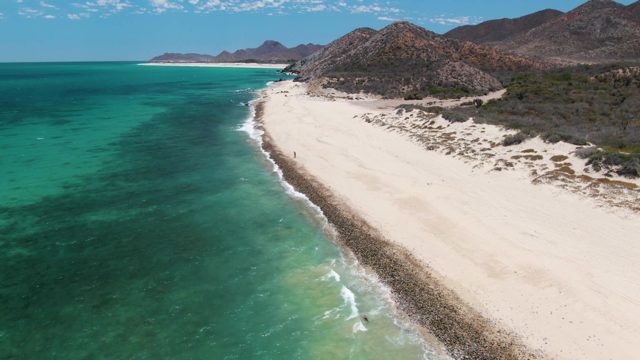 Gentle Ocean Waves Lapping a Sandy Beach