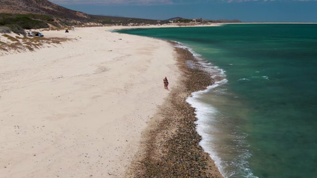 A Person Strolls Along the Sandy Beach by the Ocean