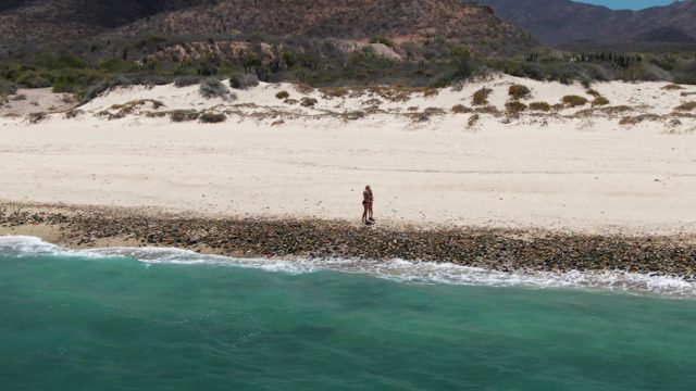 Person Walking Along Sandy Beach Shore with Dunes