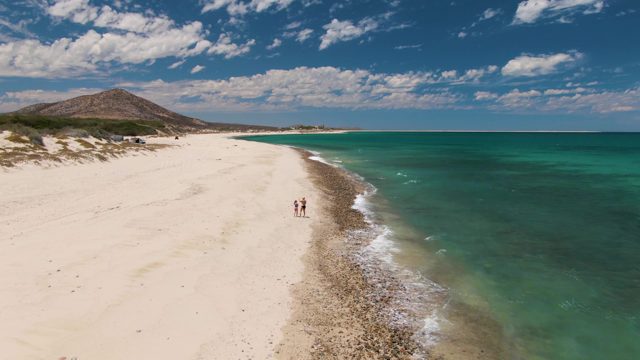 Two People Walking on a Sandy Beach Shore