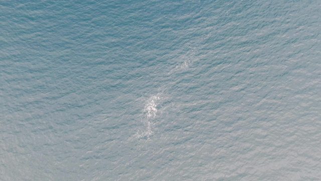 Gentle White Foam Patterns on Calm Ocean Surface