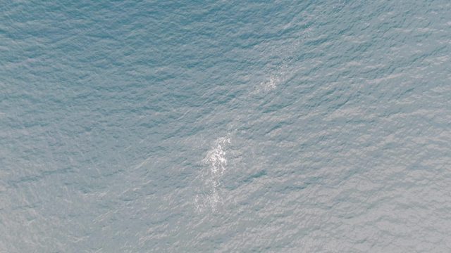 Boat Wake Trailing Across Calm Ocean Surface