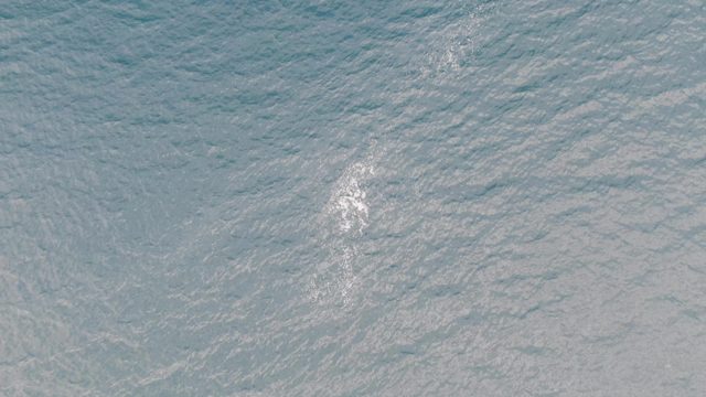 Ocean Surface with Boat Wake Trail