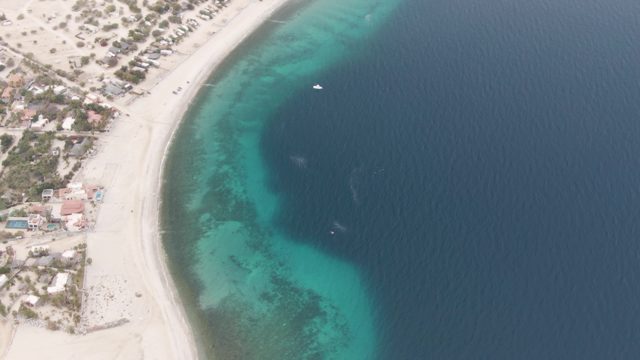 Curved Sandy Beach with Boat Moving in Clear Waters
