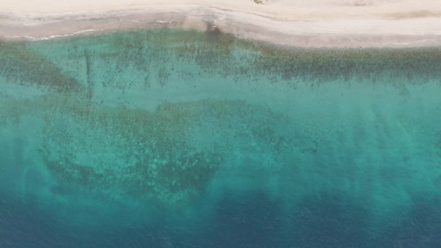 Sandy Shoreline with Clear Turquoise Ocean