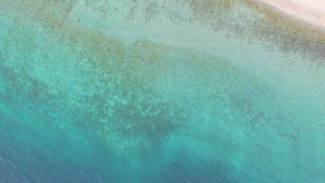 Shallow Ocean and Sandy Shore From Above