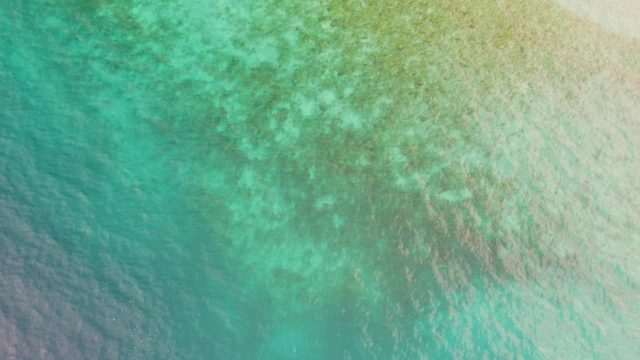Clear Turquoise Ocean Water and Shallow Sandy Shore