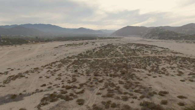 Arid Desert with Sparse Bushes and Distant Mountains