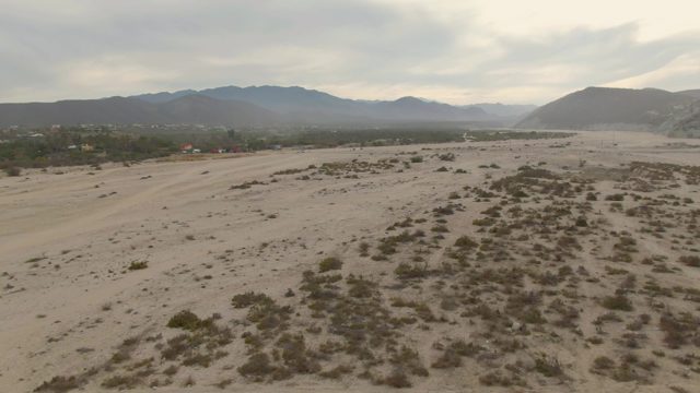 Desert Plain with Sparse Shrubs and Distant Mountains