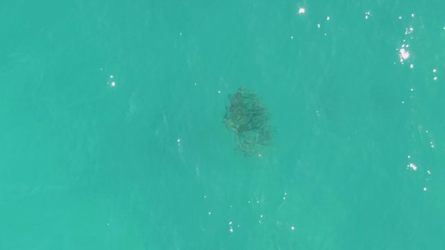 Coral Formation Visible Through Clear Turquoise Ocean Water