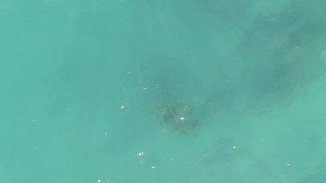 Coral and Rocks Under Clear Turquoise Water