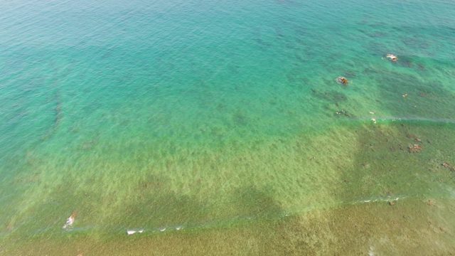 People Swimming in Clear Shallow Ocean Water