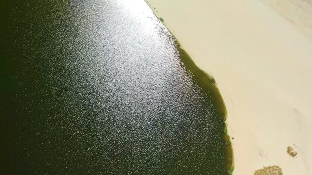 Shifting Algae Patch Along Water's Edge