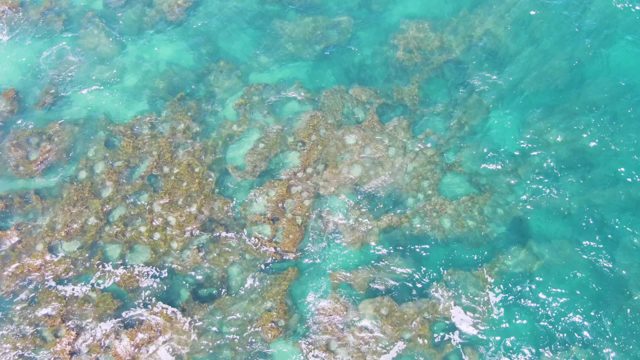 Waves Crashing Over Rocky Seabed in Clear Turquoise Water