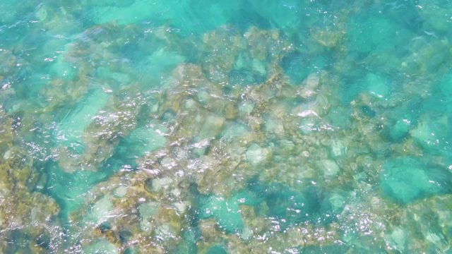 Shallow Clear Water over Rocky Seabed
