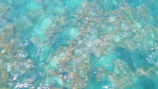Clear Turquoise Water Over Rocky Ocean Floor
