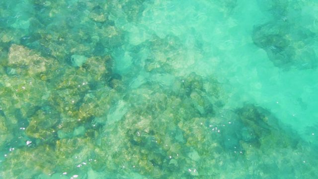 Shallow Turquoise Water Over Rocky Seabed