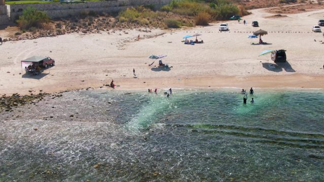 Beachgoers Swimming and Sunbathing by the Shore