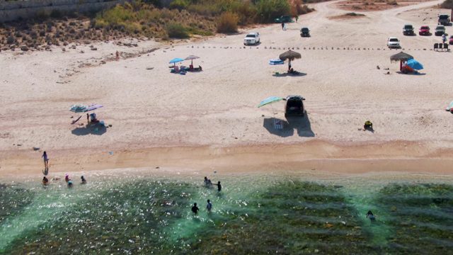People on a Sandy Beach As Tide Recedes