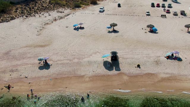 Beachgoers Swimming and Relaxing on Sandy Shore