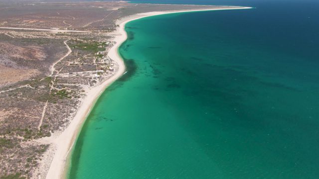 Arid Coastline and Turquoise Ocean with Sandy Beach