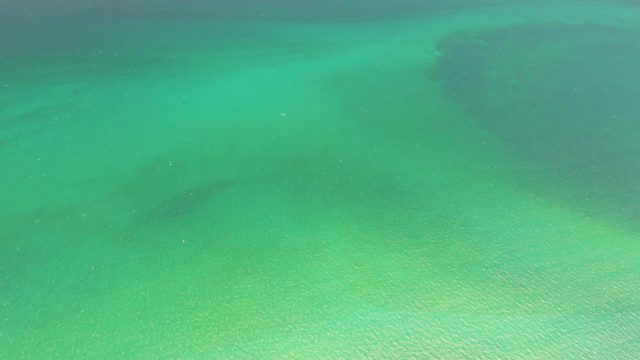 Shallow Turquoise Water Over Sandy Ocean Floor