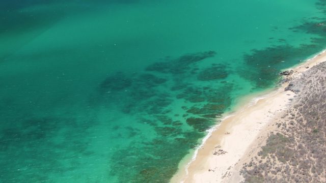 Gentle Ocean Waves Lapping Sandy Shoreline
