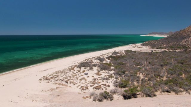 Sandy Beach with Turquoise Water and Dunes