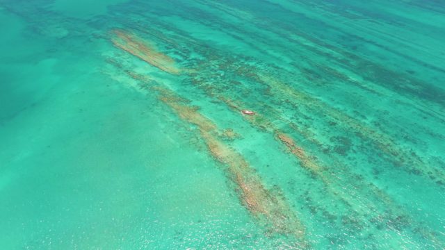 Clear Turquoise Water Over Coral Formations