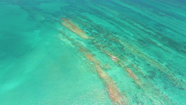 Coral Reefs and Red Fish in Turquoise Ocean Water