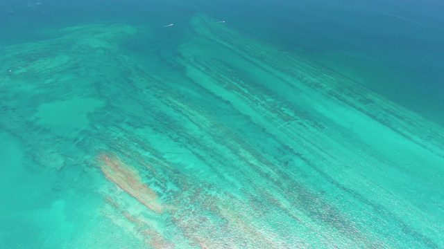 Coral Reef Underwater in Clear Turquoise Water